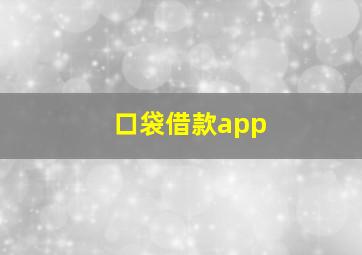 口袋借款app