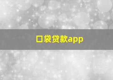 口袋贷款app