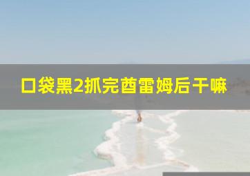 口袋黑2抓完酋雷姆后干嘛