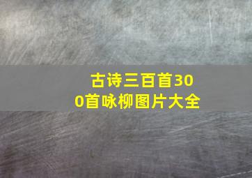 古诗三百首300首咏柳图片大全