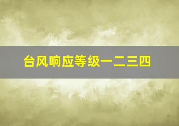 台风响应等级一二三四