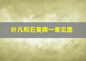 叶凡和石昊哪一章见面