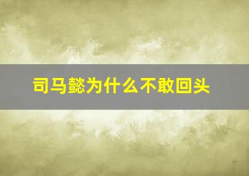 司马懿为什么不敢回头