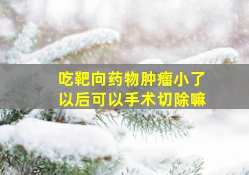 吃靶向药物肿瘤小了以后可以手术切除嘛