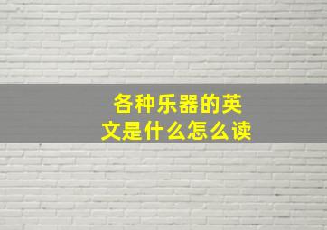 各种乐器的英文是什么怎么读