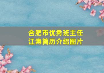 合肥市优秀班主任江涛简历介绍图片