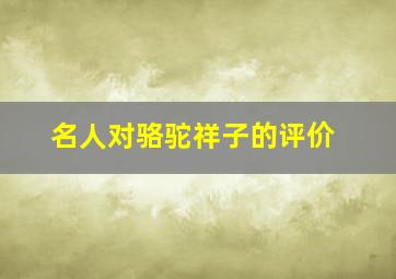 名人对骆驼祥子的评价