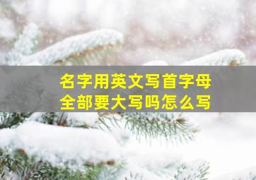 名字用英文写首字母全部要大写吗怎么写