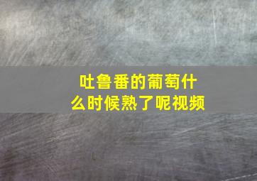 吐鲁番的葡萄什么时候熟了呢视频