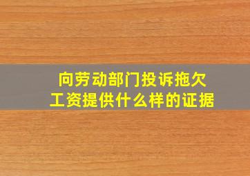 向劳动部门投诉拖欠工资提供什么样的证据