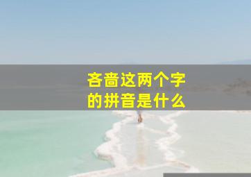 吝啬这两个字的拼音是什么