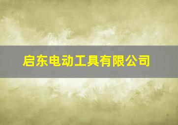 启东电动工具有限公司