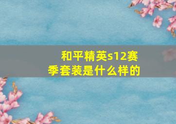 和平精英s12赛季套装是什么样的