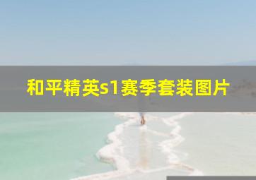 和平精英s1赛季套装图片