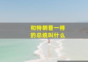 和特朗普一样的总统叫什么