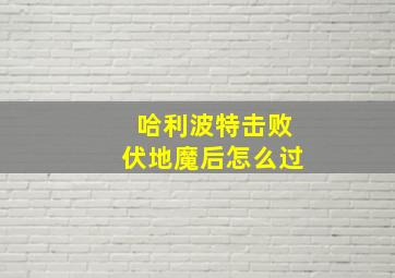 哈利波特击败伏地魔后怎么过