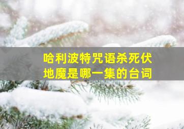 哈利波特咒语杀死伏地魔是哪一集的台词