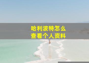 哈利波特怎么查看个人资料