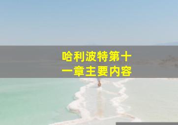 哈利波特第十一章主要内容