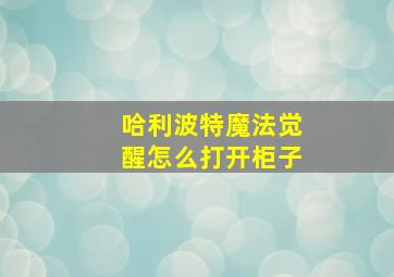 哈利波特魔法觉醒怎么打开柜子