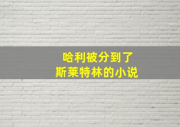 哈利被分到了斯莱特林的小说