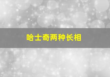 哈士奇两种长相