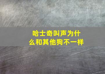 哈士奇叫声为什么和其他狗不一样