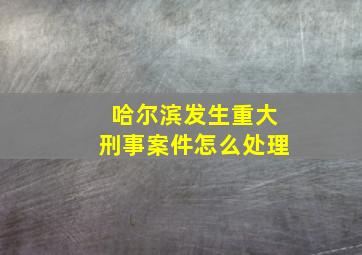 哈尔滨发生重大刑事案件怎么处理