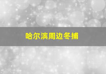 哈尔滨周边冬捕