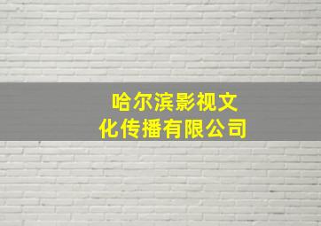 哈尔滨影视文化传播有限公司