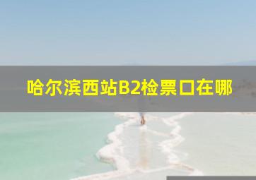 哈尔滨西站B2检票口在哪