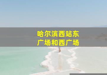 哈尔滨西站东广场和西广场