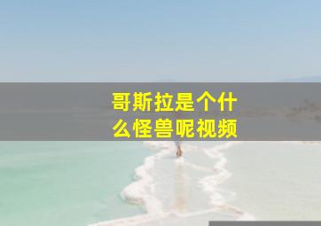 哥斯拉是个什么怪兽呢视频