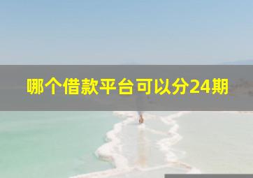 哪个借款平台可以分24期