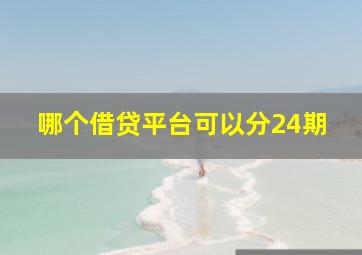 哪个借贷平台可以分24期