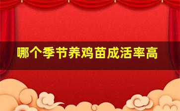 哪个季节养鸡苗成活率高