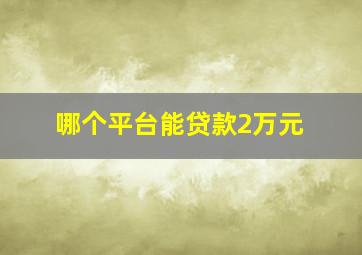 哪个平台能贷款2万元