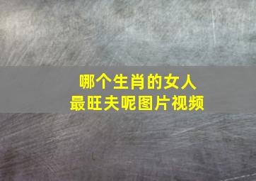 哪个生肖的女人最旺夫呢图片视频