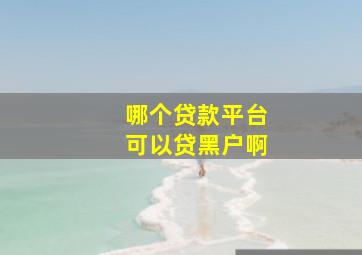 哪个贷款平台可以贷黑户啊