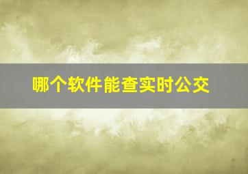 哪个软件能查实时公交