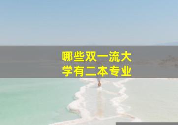 哪些双一流大学有二本专业