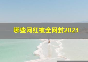 哪些网红被全网封2023