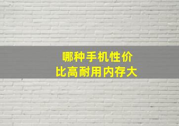 哪种手机性价比高耐用内存大