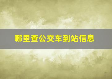 哪里查公交车到站信息