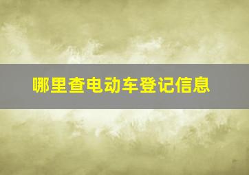 哪里查电动车登记信息