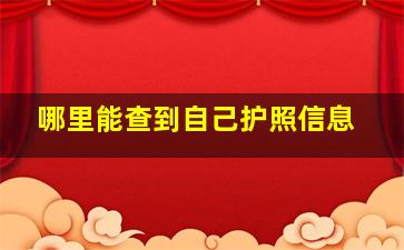 哪里能查到自己护照信息