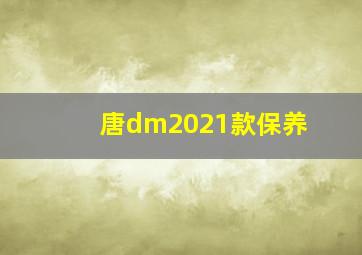 唐dm2021款保养