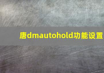 唐dmautohold功能设置