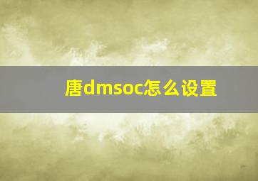 唐dmsoc怎么设置