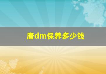 唐dm保养多少钱